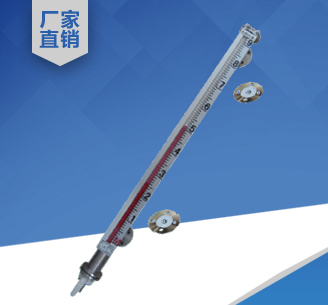 防腐型磁翻板液位計
